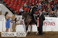 10buck_5250 proof