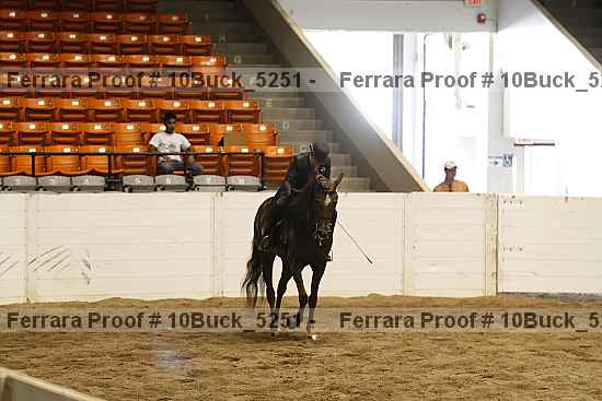 Proof 10buck_5251