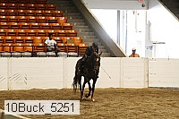 10buck_5251 proof