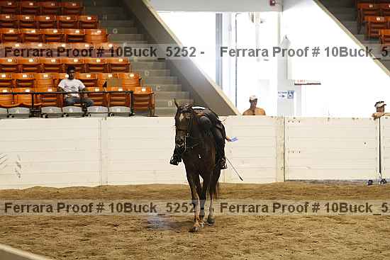 Proof 10buck_5252