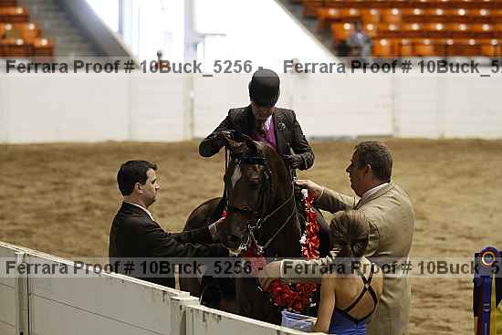 Proof 10buck_5256