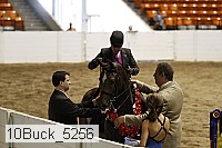10buck_5256 proof
