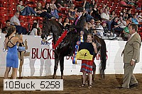 10buck_5258 proof