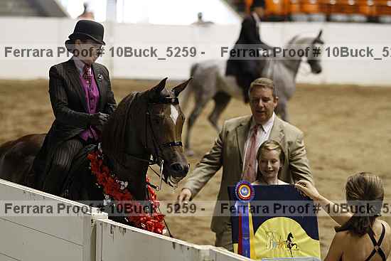 Proof 10buck_5259