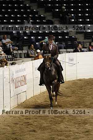 Proof 10buck_5264
