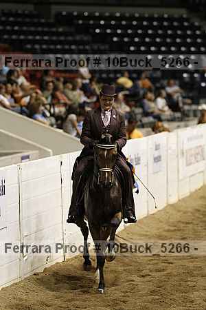 Proof 10buck_5266