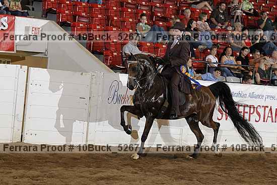 Proof 10buck_5267