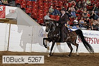 10buck_5267 proof