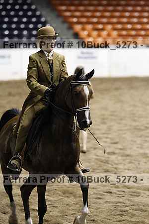 Proof 10buck_5273