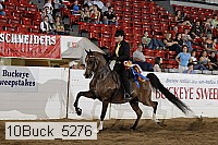 10buck_5276 proof
