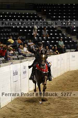 Proof 10buck_5277