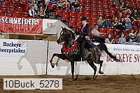 10buck_5278 proof
