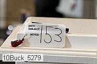 10buck_5279 proof