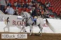 10buck_5281 proof
