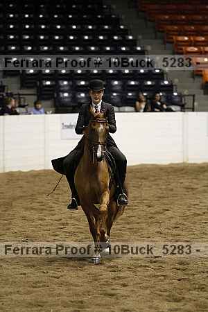 Proof 10buck_5283