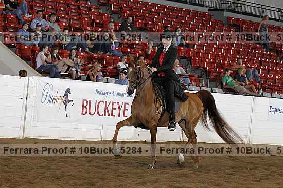 Proof 10buck_5284