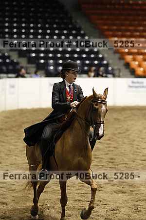 Proof 10buck_5285