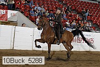 10buck_5288 proof