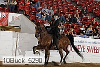 10buck_5290 proof