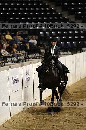 Proof 10buck_5292