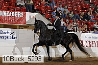 10buck_5293 proof