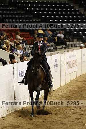 Proof 10buck_5295