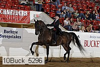 10buck_5296 proof