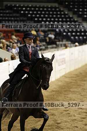 Proof 10buck_5297