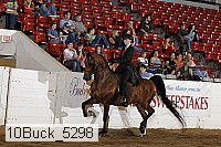 10buck_5298 proof