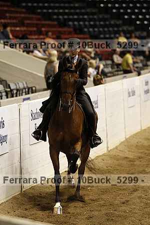 Proof 10buck_5299