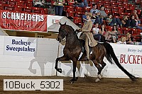 10buck_5302 proof