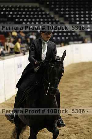 Proof 10buck_5306