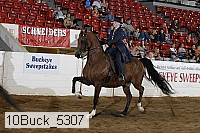 10buck_5307 proof
