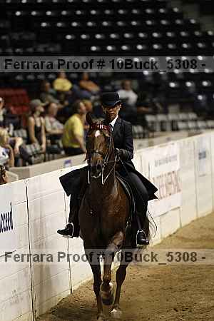 Proof 10buck_5308