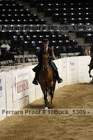 Proof 10buck_5309