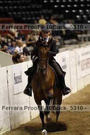 Proof 10buck_5310