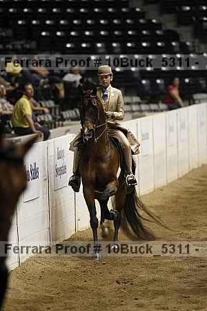 Proof 10buck_5311