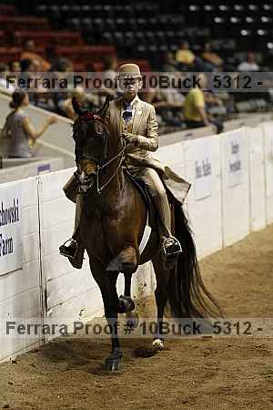 Proof 10buck_5312
