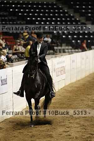 Proof 10buck_5313