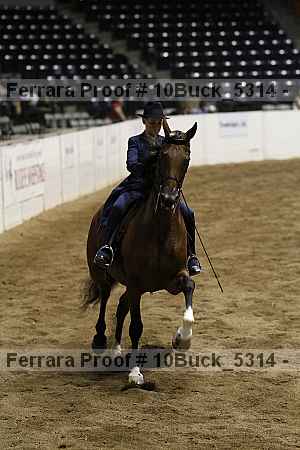 Proof 10buck_5314