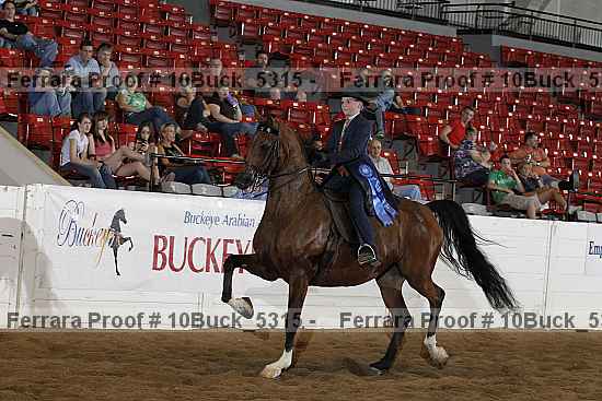 Proof 10buck_5315