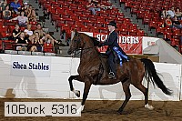 10buck_5316 proof