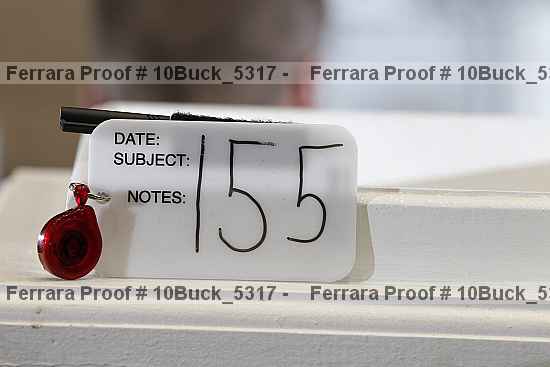 Proof 10buck_5317