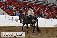 10buck_5321 proof