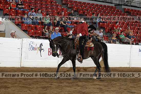 Proof 10buck_5324