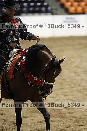 Proof 10buck_5349