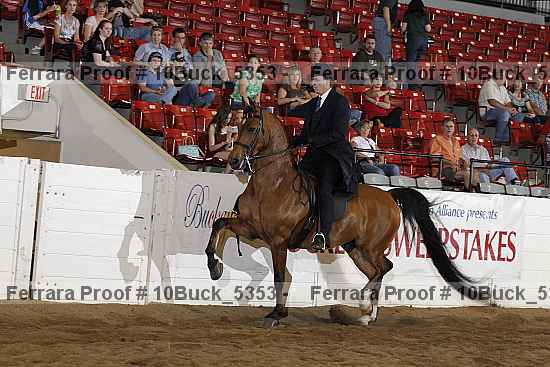 Proof 10buck_5353