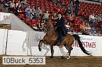 10buck_5353 proof