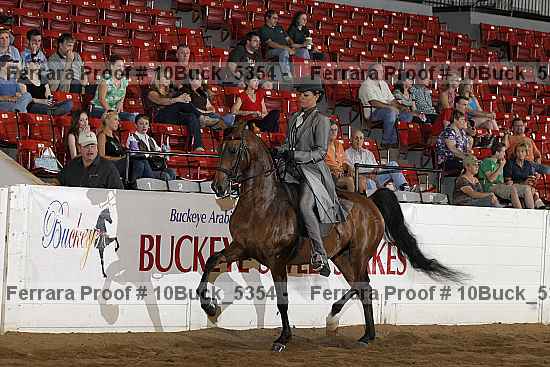 Proof 10buck_5354