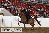 10buck_5355 proof